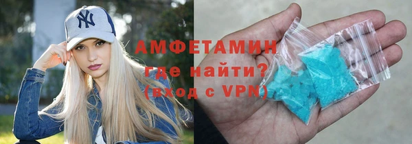 шишки Арсеньев