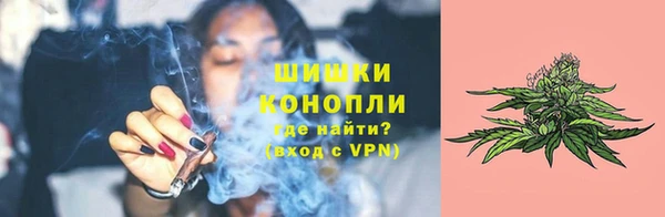 СК Аркадак