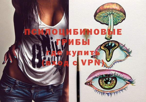 a pvp Алексин