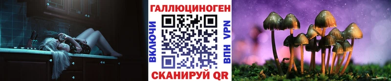 Псилоцибиновые грибы Psilocybe  Миасс 